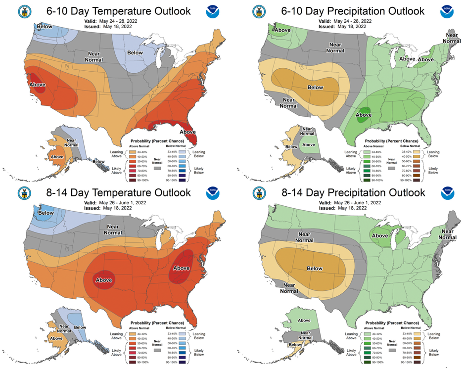 The 6-10 day (May 24-28, top) and 8-14 day (May 26-June 1, bottom) outlooks for temperature (left) and precipitation (right).
